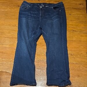 Women's Blue Jeans Lane Bryant